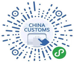 China customs code